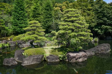 Japonya, Himeji 'de bonsai ağaçları ve balık havuzu olan yeşil bir bahçe..