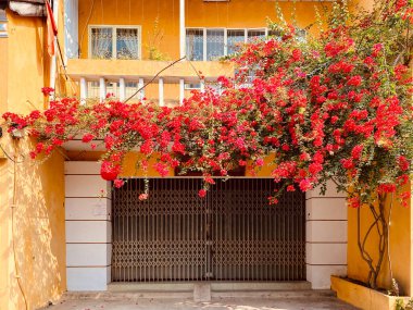 Antik Hoi An evi, Vietnam. Hoi An, Nguyen Hanedanlığı döneminde yoğun bir liman şehriydi ve bugün Vietnam 'da turistik bir yer..