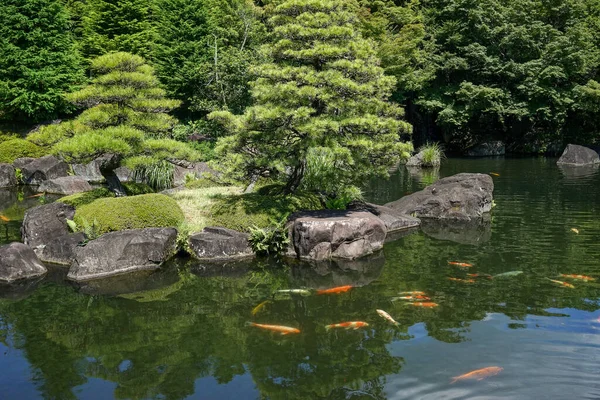 Jardim Verde Com Bonsai Lagoa Peixes Himeji Japão — Fotografia de Stock