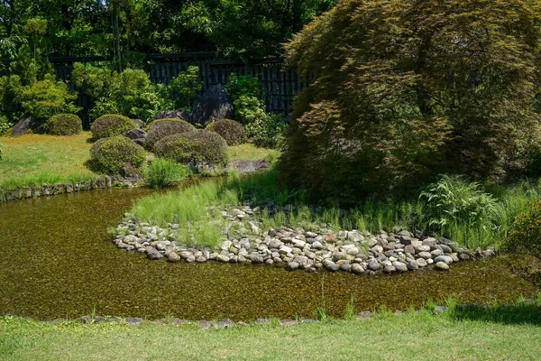 Зеленый Сад Деревьями Бонсай Рыбным Прудом Федзи Япония — стоковое фото
