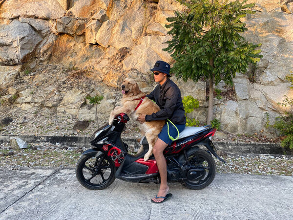 Hoi An, Vietnam - Jul 19, 2020. Man with a dog on the motorbike on street of Hoi An, Vietnam.
