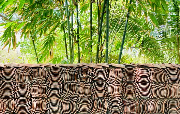 Tégla Kerítés Bambusz Fák Kertben Napsütéses Napon — Stock Fotó