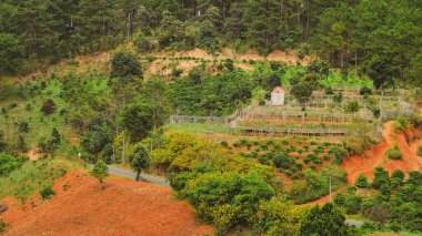 Vietnam, Dalat 'ın dağ manzarası. Dalat, serin havası ve pek çok güzel doğal manzarasıyla ünlü bir tatil köyüdür..