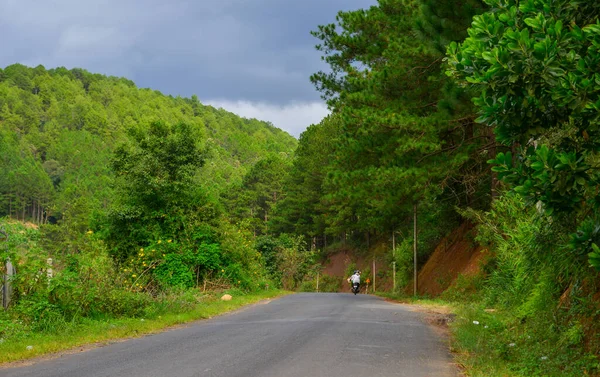 Camino Meseta Dalat Con Muchos Girasoles Silvestres Floreciendo Otoño — Foto de Stock