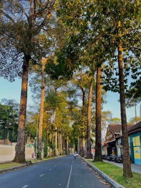 Saigon, Vietnam - 26 Ocak 2021. Saigon, Vietnam 'da gün batımının altında yeşil parkta yürüyüş yolu.