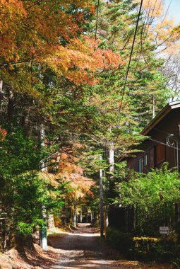 Japonya, Karuizawa 'da güzel bir sonbahar manzarası. Karuizawa, aktif bir volkan olan Asama Dağı 'nın eteklerinde bulunan bir dağlık tatil köyüdür..