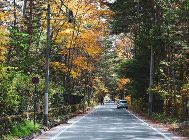 Karuizawa, Japonya - 7 Kasım 2019. Japonya, Karuizawa 'da bir sokak. Karuizawa, Nagano dağlarında sonbahar doğasıyla ünlü bir tatil beldesidir..
