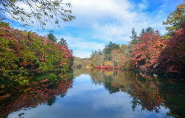 Japonya 'nın Karuizawa şehrinde sonbaharda güzel bir göl manzarası var. Akçaağaç ağaçları kıpkırmızı olmuş..