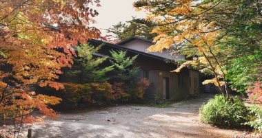 Japonya, Karuizawa 'da güzel bir sonbahar manzarası. Karuizawa, aktif bir volkan olan Asama Dağı 'nın eteklerinde bulunan bir dağlık tatil köyüdür..