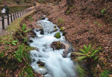 Japonya, Karuizawa 'daki Shiraito Şelalesi' nin güzel manzarası. Site, yaprakların renk değiştirdiği sonbaharda en güzel yer. Muhteşem bir manzara yaratıyor..