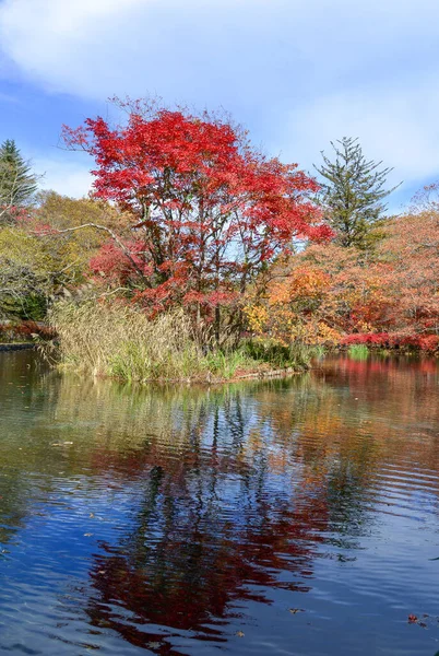 Όμορφη Θέα Στη Λίμνη Φθινόπωρο Στην Karuizawa Ιαπωνία Πολλά Δέντρα — Φωτογραφία Αρχείου