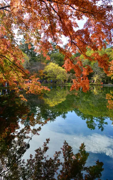 日本の軽井沢の秋の美しい湖の景色は 多くのモミジが赤く染まります — ストック写真