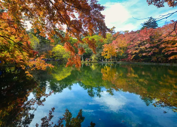 日本の軽井沢の秋の美しい湖の景色は 多くのモミジが赤く染まります — ストック写真