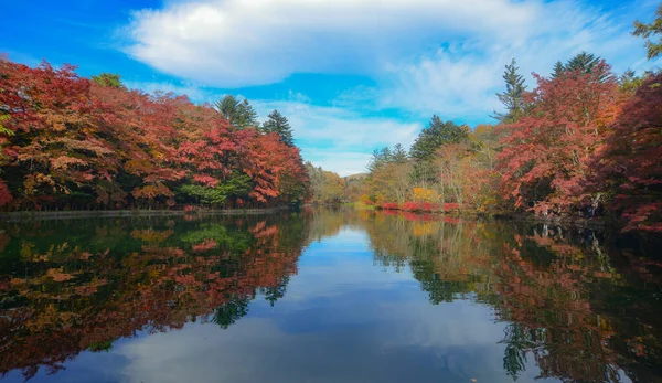 Beautiful Lake View Autumn Karuizawa Japan Many Maple Trees Turning — Stock Photo, Image