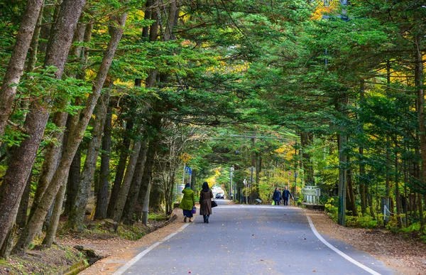 Karuizawa Japonsko Listopadu2019 Venkovská Silnice Mnoha Stromy Auutmn Karuizawa Japonsko — Stock fotografie