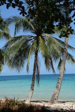 Phu Quoc Adası, Vietnam 'daki güzel mavi deniz. Phu Quoc güzel plajları ve çeşitli ekolojik koruma parklarıyla ünlüdür..