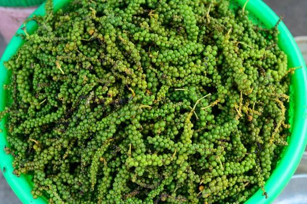 Vendendo Pimenta Verde Mercado Phu Quoc Island Vietnã Pepper Uma — Fotografia de Stock