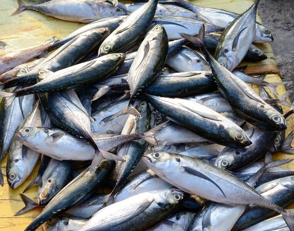 Продажа Рыбы Сельском Рынке Вунг Тау Южный Вьетнам — стоковое фото
