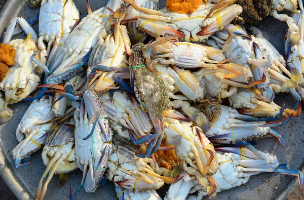 Vânzarea Crab Piața Rurală Din Vung Tau Vietnamul Sud — Fotografie, imagine de stoc