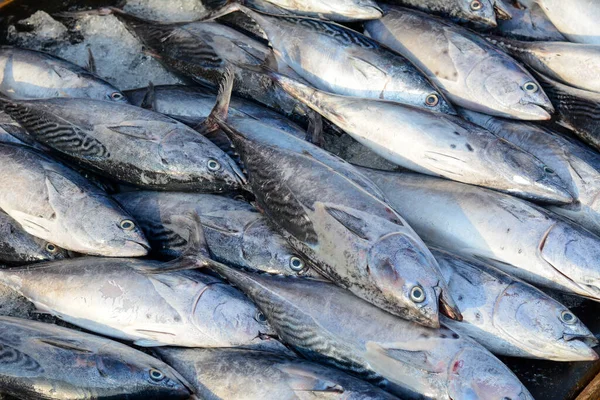 Πώληση Ψαριών Στην Αγροτική Αγορά Στο Vung Tau Νότιο Βιετνάμ — Φωτογραφία Αρχείου