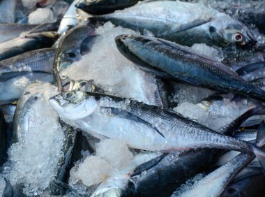 Vung Tau, Güney Vietnam kırsal pazarında balık satmak.