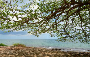 Phu Quoc Adası, Vietnam 'daki güzel mavi deniz. Phu Quoc güzel plajları ve çeşitli ekolojik koruma parklarıyla ünlüdür..