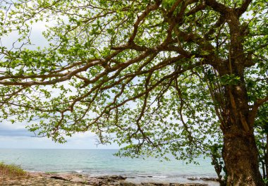 Phu Quoc Adası, Vietnam 'daki güzel mavi deniz. Phu Quoc güzel plajları ve çeşitli ekolojik koruma parklarıyla ünlüdür..