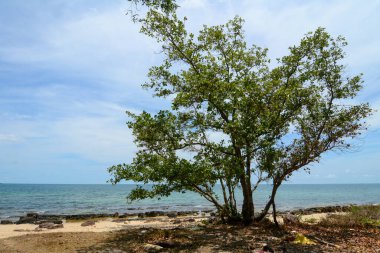 Phu Quoc Adası, Vietnam 'daki güzel mavi deniz. Phu Quoc güzel plajları ve çeşitli ekolojik koruma parklarıyla ünlüdür..