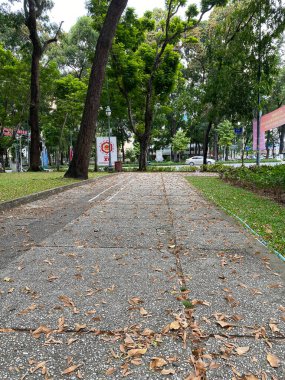 Saygon, Vietnam - 3 Ekim 2021. Saigon, Vietnam 'da bir sürü ağacın olduğu bir yol. Saigon Güney 'in başkentidir, hareketli ve hareketli bir şehirdir..