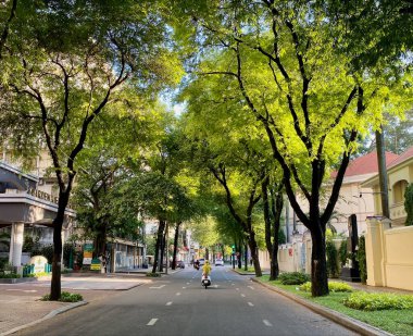 Saygon, Vietnam - 3 Ekim 2021. Saigon, Vietnam 'da bir sürü ağacın olduğu bir yol. Saigon Güney 'in başkentidir, hareketli ve hareketli bir şehirdir..