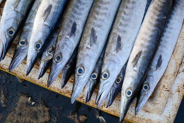 Πώληση Ψαριών Στην Αγροτική Αγορά Στο Vung Tau Νότιο Βιετνάμ — Φωτογραφία Αρχείου