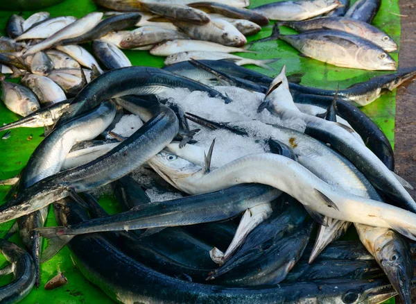 Sprzedaż Ryb Rynku Wiejskim Vung Tau Południowy Wietnam — Zdjęcie stockowe