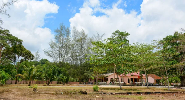 Tempel Wald Auf Der Insel Phu Quoc Vietnam — Stockfoto
