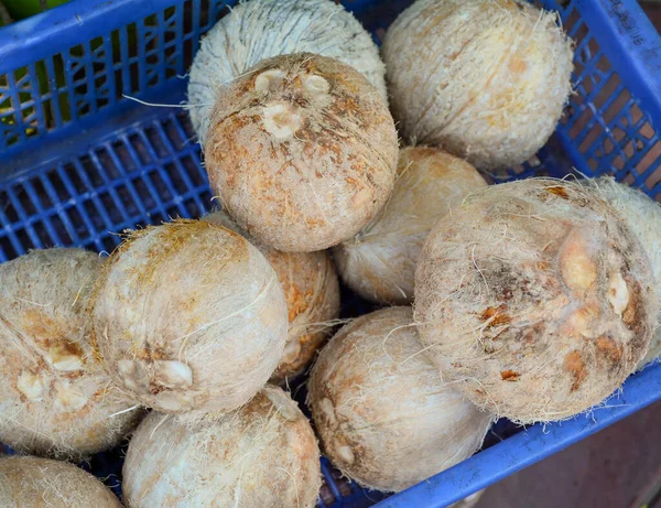 Verkauf Von Kokosnüssen Auf Dem Ländlichen Markt Phan Thiet Vietnam Stockbild