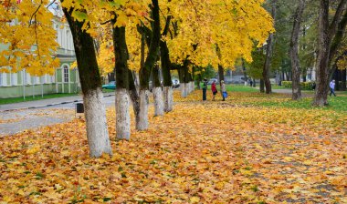 Suzdal, Rusya - 3 Ekim 2016. Rusya, Suzdal Town 'da sonbahar manzarası. Suzdal, 12. yüzyılda eski Rus prensliğinin ana kasabasıdır..