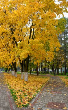 Rusya, Suzdal Town 'da sonbahar manzarası. Suzdal, 12. yüzyılda eski Rus prensliğinin ana kasabasıdır..
