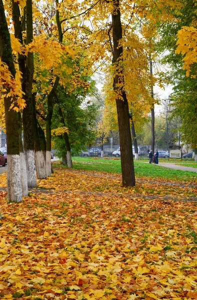 Susdal Russland Oktober 2016 Herbstliche Landschaft Der Stadt Susdal Russland — Stockfoto
