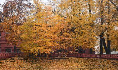 Rusya, Suzdal Town 'da sonbahar manzarası. Suzdal, 12. yüzyılda eski Rus prensliğinin ana kasabasıdır..