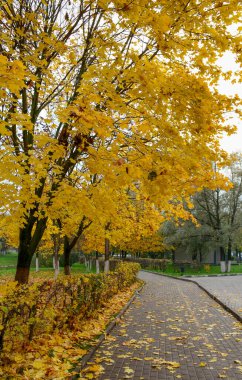 Rusya, Suzdal Town 'da sonbahar manzarası. Suzdal, 12. yüzyılda eski Rus prensliğinin ana kasabasıdır..