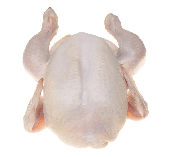Rå kylling på hvid - Stock-foto