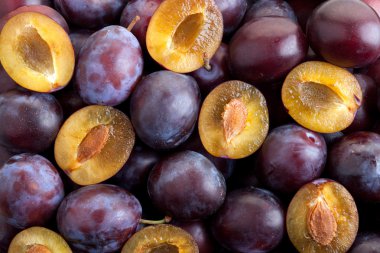 yarısında arka plan ve bütün Erik