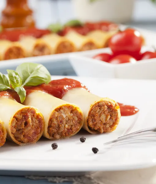 Cannelloni på tallrik — Stockfoto