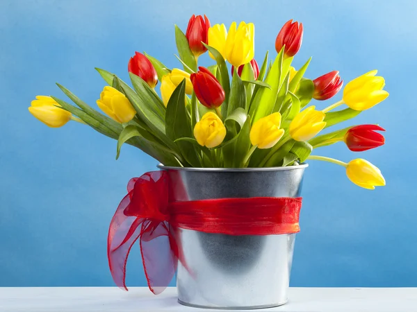 Barevné tulipány na modré — Stock fotografie