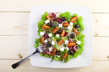 Taze Yunan salatası