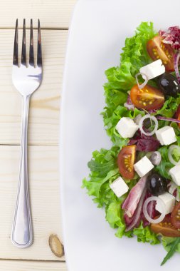 Taze Yunan salatası