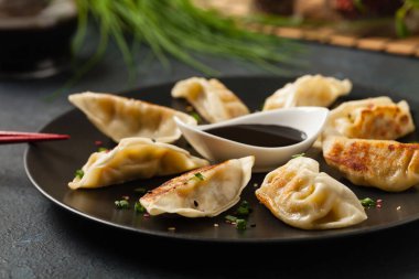 Tavuk ve sebzeli orijinal Japon hamur tatlısı. Ön manzara. Koyu mavi arka plan.