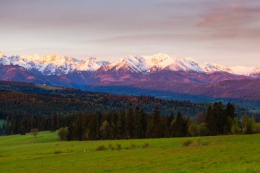 Tatra Dağları üzerinde güzel bir gün doğumu. Güneşin altın ışıklarıyla aydınlatılan karla kaplı tepeler. Belianske Tatralarının Görünümü.