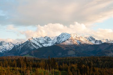 Tatra Dağları 'nın karla kaplı zirvelerinin güzel manzarası. Polonya