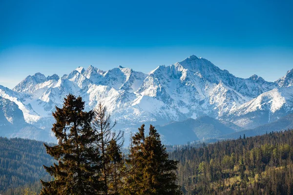 Schöne Aussicht Auf Die Schneebedeckten Gipfel Der Tatra Polen — Stockfoto