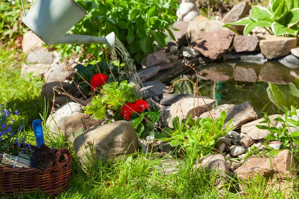 Jardinier Arrose Les Fleurs Fraîchement Plantées — Photo